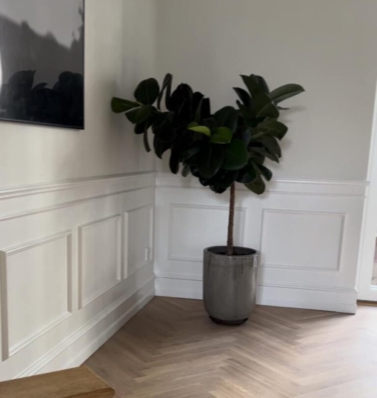 Topliste:Strandborg og lille almue 2/Fylding:Rymark/Fodliste:Kornbakke